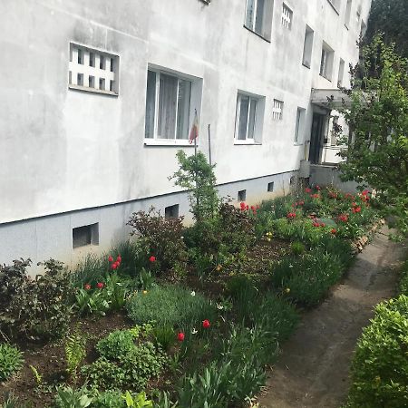 Apartament Colina Kolozsvár Kültér fotó