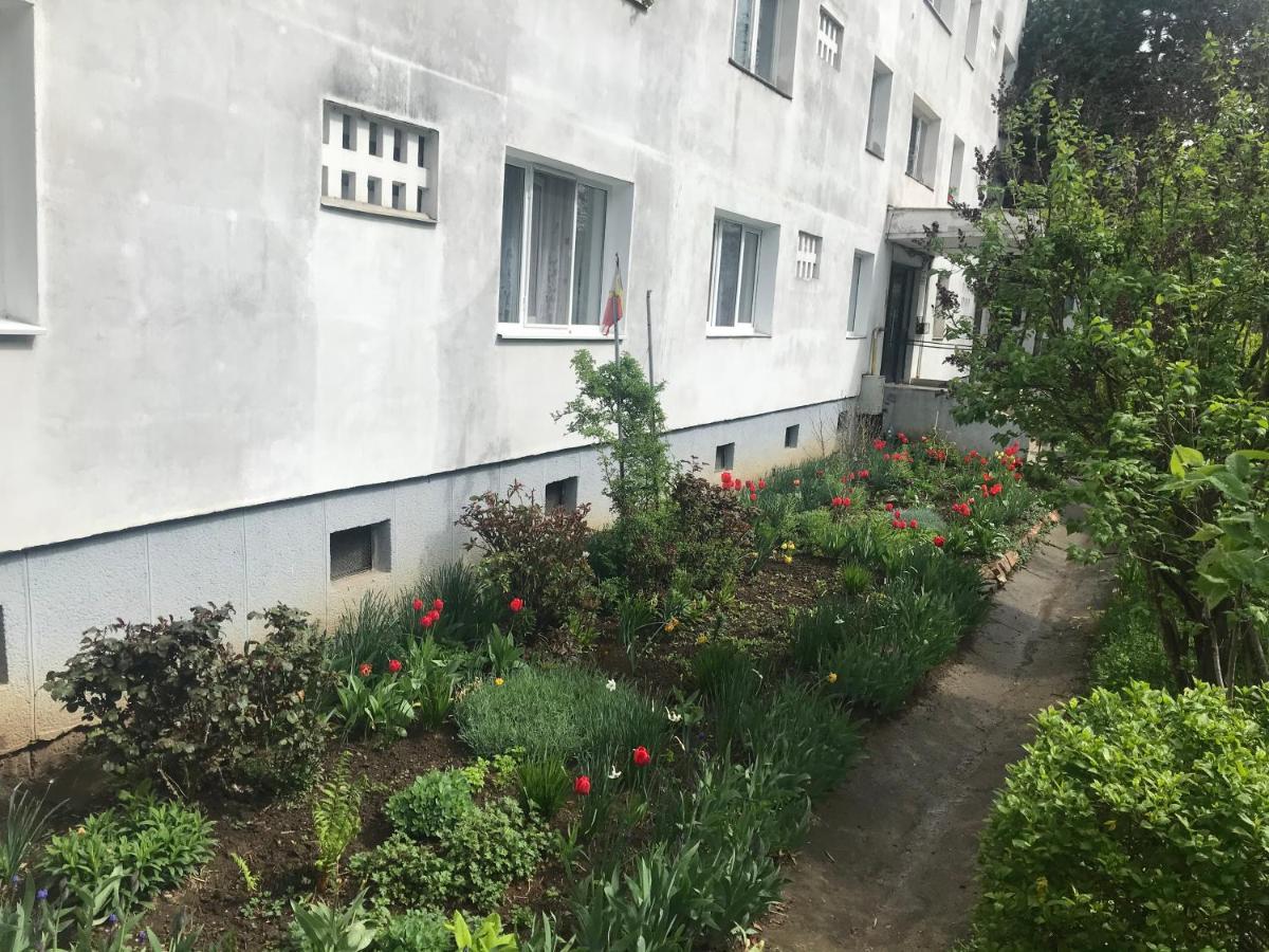 Apartament Colina Kolozsvár Kültér fotó