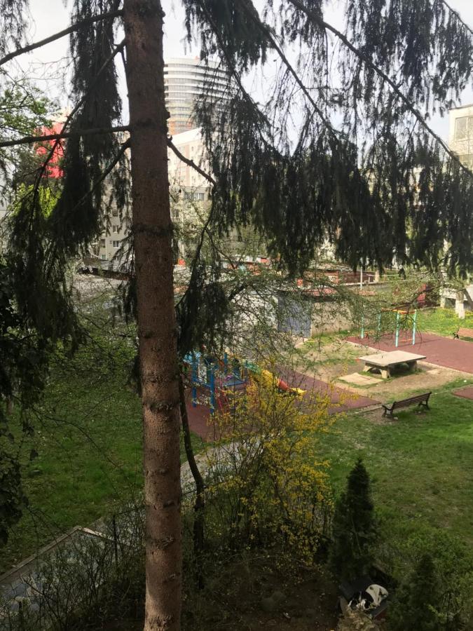 Apartament Colina Kolozsvár Kültér fotó